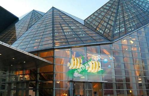 LED玻璃透明屏未來(lái)發(fā)展?jié)摿Σ豢上蘖?></div>
        <div   id=